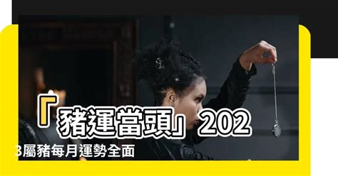 2022屬豬每月運勢|【李雲天】塔羅牌2022年生肖豬運勢